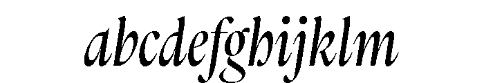 ThesaurusDisplay Italic FONT