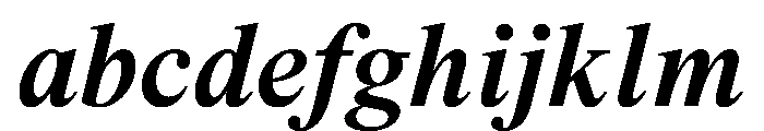 ThunderCollection TextBoldItalic Instance FONT