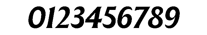 The Henston Bold Italic Font OTHER CHARS