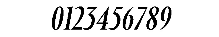 Times New Roman Medium Italic Font OTHER CHARS