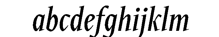 Times New Roman Medium Italic FONT