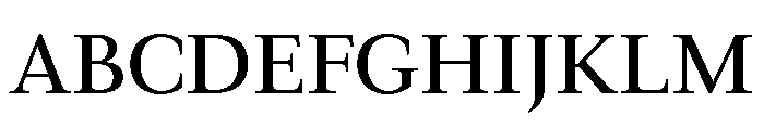 Times New Roman Medium Font UPPERCASE