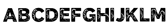 Tidal Regular FONT