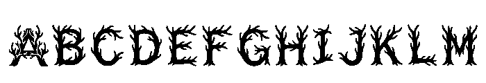Tirana Regular Font UPPERCASE