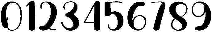 Tiger Regular otf (400) Font OTHER CHARS