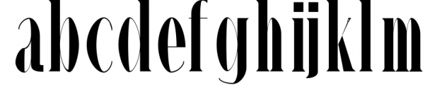 Timm Serif Typeface 3 Font LOWERCASE