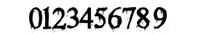Times New Yorker Font OTHER CHARS