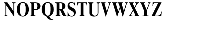 Times New Roman Bold Condensed Font UPPERCASE