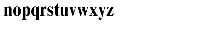 Times New Roman Bold Condensed Font LOWERCASE