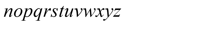 Times New Roman CE Italic Font LOWERCASE