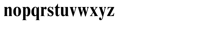 Times New Roman Condensed Bold Font LOWERCASE