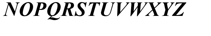 Times New Roman Cyrillic Bold Inclined Font UPPERCASE