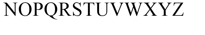 Times New Roman Cyrillic Font UPPERCASE