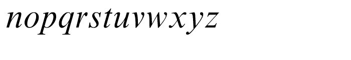 Times New Roman Italic Font LOWERCASE