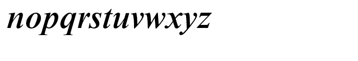 Times New Roman Medium Italic Font LOWERCASE