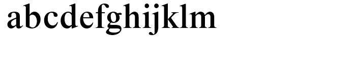 Times New Roman Medium Font LOWERCASE