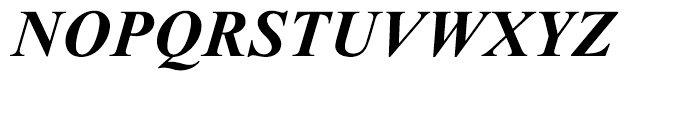 Times New Roman PS Cyrillic Bold Italic Font UPPERCASE