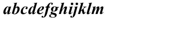 Times New Roman PS Cyrillic Bold Italic Font LOWERCASE