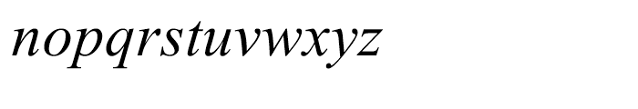 Times New Roman PS Cyrillic Italic Font LOWERCASE