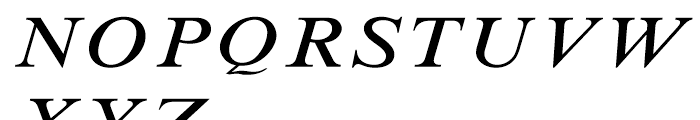 Times New Roman Small Text Italic Font UPPERCASE