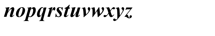 Times New Roman WGL Bold Italic Font LOWERCASE
