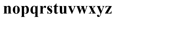 Times New Roman WGL Bold Font LOWERCASE