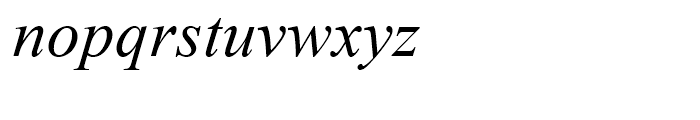 Times New Roman WGL Italic Font LOWERCASE