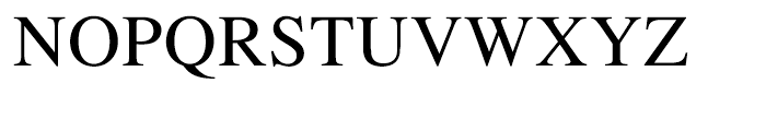 Times Roman Font UPPERCASE