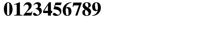Times Ten Cyrillic Bold Font OTHER CHARS