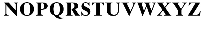 Times Ten Cyrillic Bold Font UPPERCASE