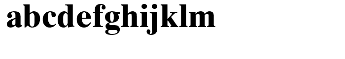 Times Ten Cyrillic Bold FONT