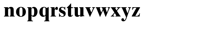 Times Ten Cyrillic Bold Font LOWERCASE