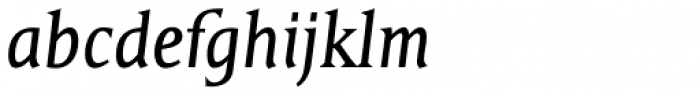 TilpSerif EF Italic Font LOWERCASE