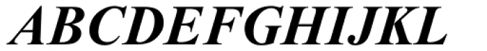 Times New Roman Bold Italic Font UPPERCASE