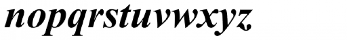 Times New Roman Bold Italic Font LOWERCASE