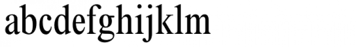 Times New Roman Condensed Font LOWERCASE