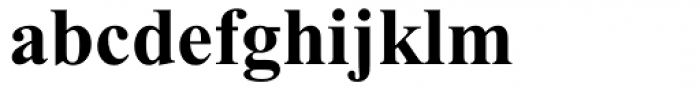 Times New Roman Cyrillic Bold Font LOWERCASE