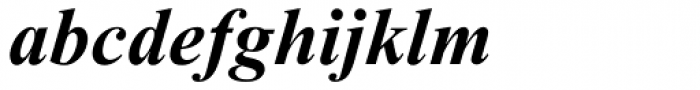 Times New Roman MT Bold Italic Font LOWERCASE