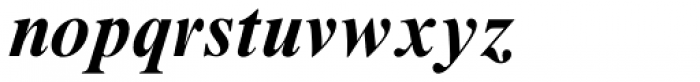 Times New Roman MT Std Bold Italic Font LOWERCASE