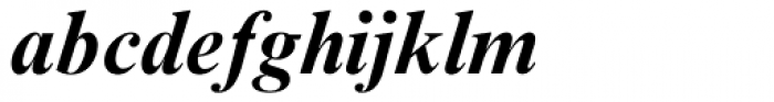 Times New Roman PS Bold Italic Font LOWERCASE