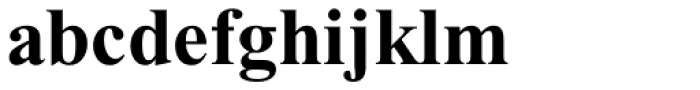 Times New Roman PS Cyrillic Pro Bold Font LOWERCASE