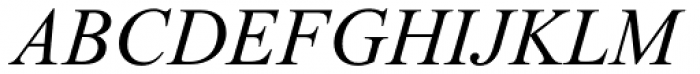Times New Roman PS Greek Pro Greek Italic Font UPPERCASE