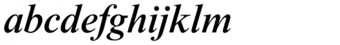 Times New Roman Pro Medium Italic Font LOWERCASE