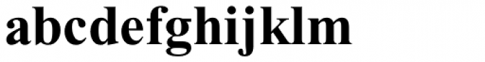 Times New Roman Pro PS Cyrillic Bold Font LOWERCASE