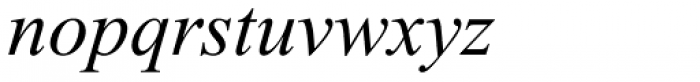 Times New Roman Pro PS Italic Font LOWERCASE
