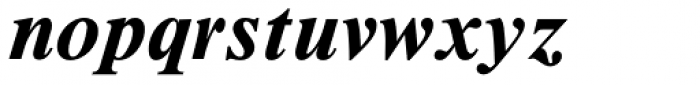 Times New Roman Seven Std Bold Italic Font LOWERCASE