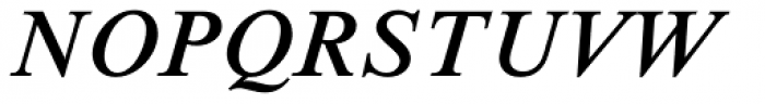 Times New Roman Seven Std Italic Font UPPERCASE