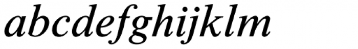 Times New Roman Seven Std Italic Font LOWERCASE