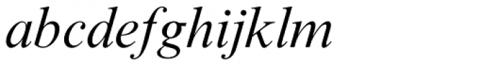 Times New Roman Std Italic Font LOWERCASE