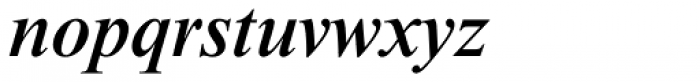 Times New Roman Std Medium Italic Font LOWERCASE